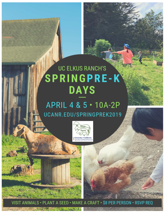 Spring Preschool Days Flyer 2019