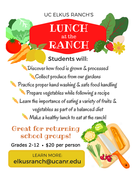 Lunch at the Ranch 2022Flyer