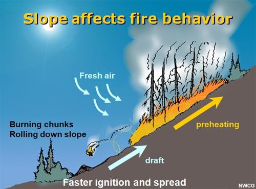 Effect of slope on fire behavior