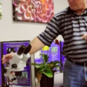 Why the Microscope is Your Best Friend in the Ornamental Plant Industry