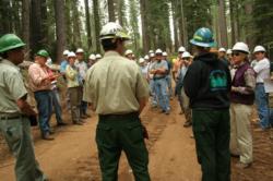 SNAMP collaborative field trip on the Tahoe National Forest involving multiple agencies and stakeholders.