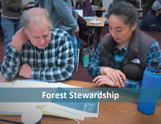 Forest Stewardship