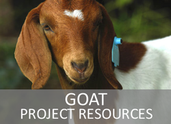 Goat Project Resources Website Page Link