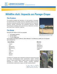 Fact sheet- Wildfire Ash and Forage Crops FINAL_001