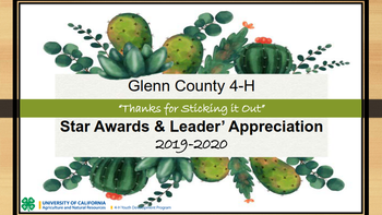 Glenn County 4-H Star Awards Powerpoint