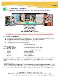 2023 Glenn County 4-H Quilt Show Information Sheet and Pattern Picture Form