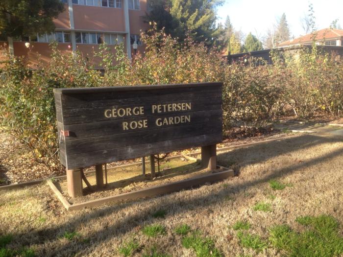 SVM 1-31-2015 The Rose Garden at Cal State Chico