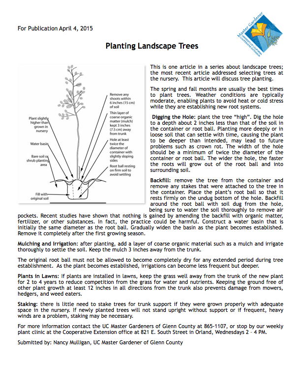 Planting Landscape Trees - Part 4