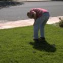 Watering Lawns in a Drought