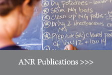 ANR Publications Web Link