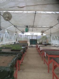Green House project