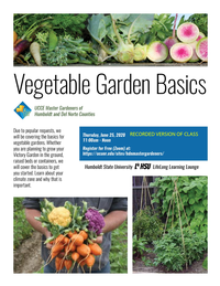 x0625 Recorded Vegetable Garden Basics