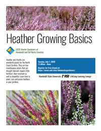 0707 Heather Growing Basics