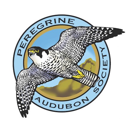 Peregrine Audubon logo