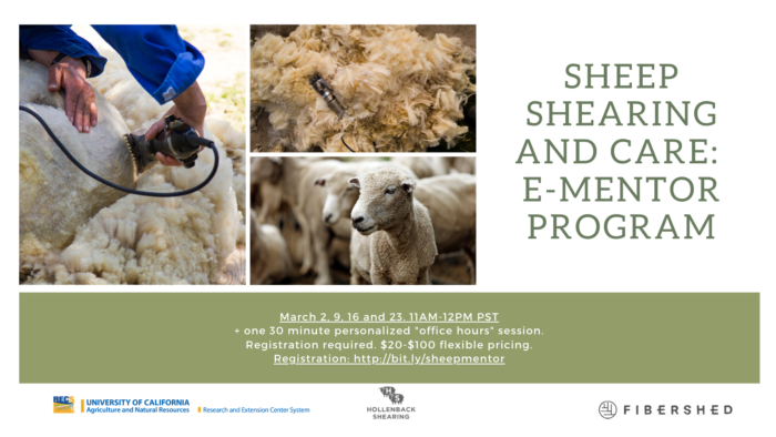 Sheep Shearing and Care Facebook Cover