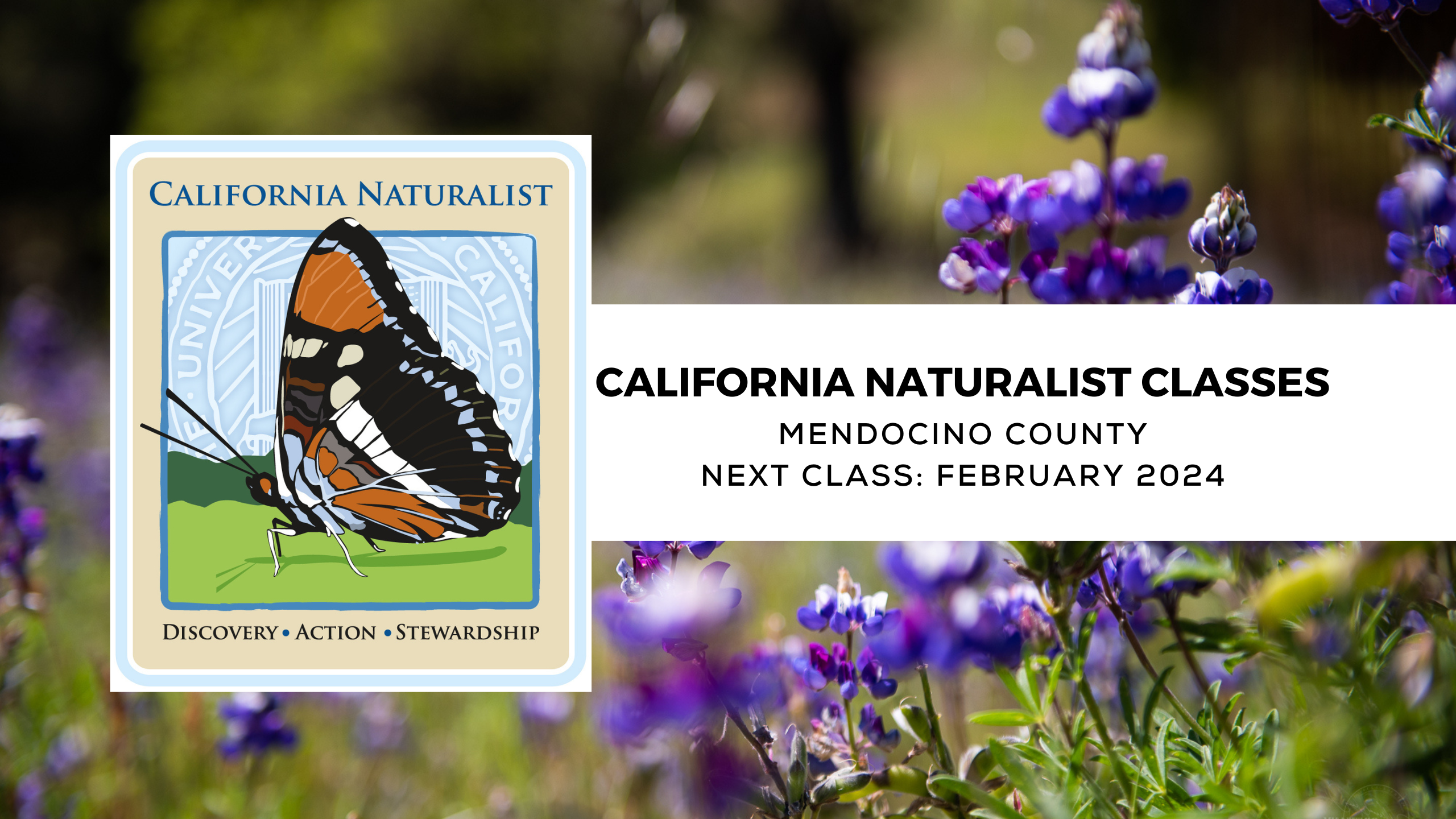 California Naturalist Mendocino Class February 2024