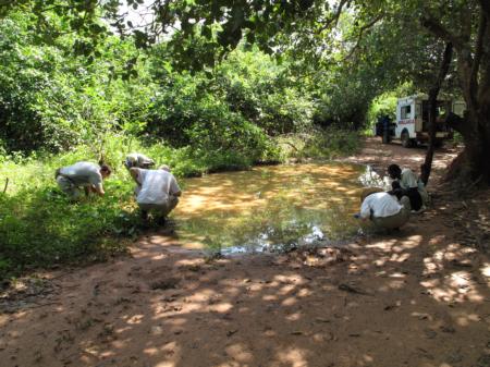 Collecting larvae on the Island of Bubaque, Bijagos