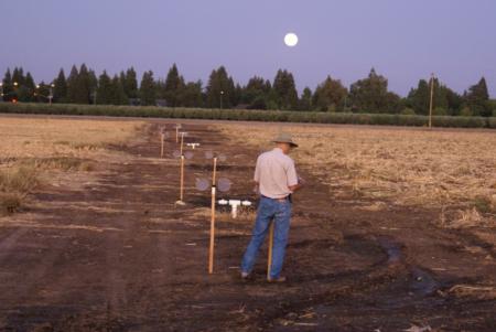 Sentinel cages used in ground ULV trials- open field