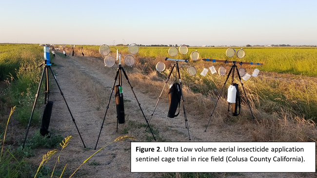 Ultra Low volume aerial insecticide application sentinel cage trial in rice field (Colusa County, California).
