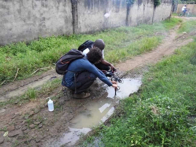 Recording water temperature, conductivity, Ph, soluble oxygen in a typical Anopheles coluzzii immature development site in Sao Tome.