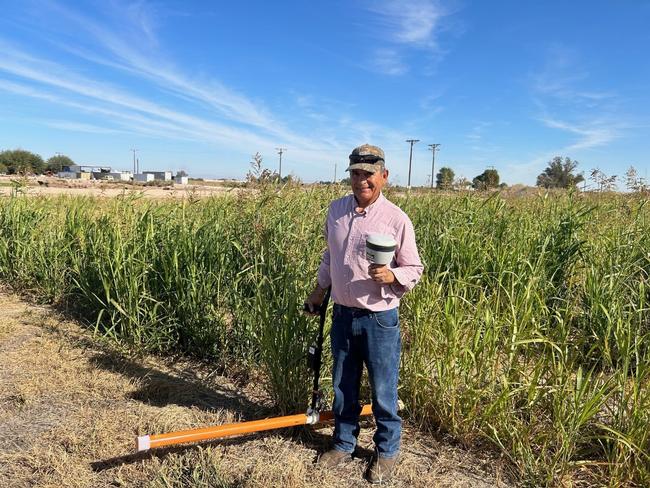 Daniel Buenrostro, staff research associate, scanning sudan grass field for salinity.