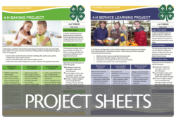 Project Sheets