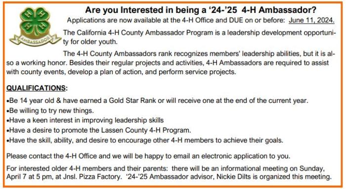 '24-'25 4-H Ambassador Applications