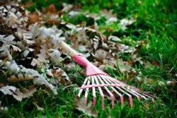 fall raking leaves