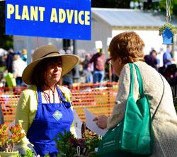 Plant Advice table at 2015 Spring Garden Fair