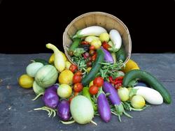 Vegetables spilling from basket David Giroux, MG