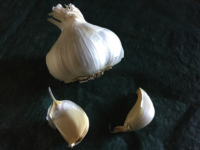 Garlic cloves, photo by Laura Monczynski