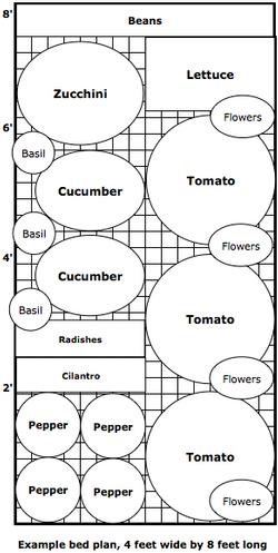 Vegetable bed plan example by Karen Schaffer