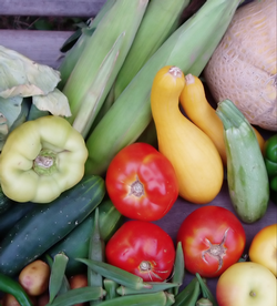 Vegetables Getty Free Paul Grant cropped