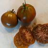 Tomato-Japanese-Black-Trifele-MG-Donna-Lee