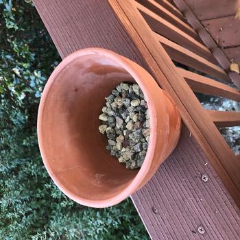 Pot with gravel