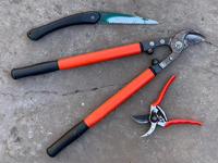 Pruning tools: saw, loppers, and hand pruners, by Allen Buchinski