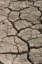 Deep cracks in dry soil from drought, by Jack Kelly Clark, UC