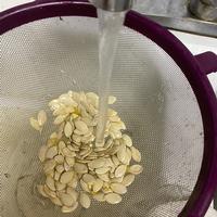 Washing pulp from zucchini seeds