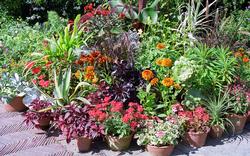 container gardening for all seasons