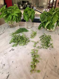 Growing Culinary Herbs; Pam Roper
