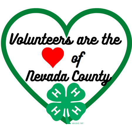 Volunteers are the of Nevada County(1)