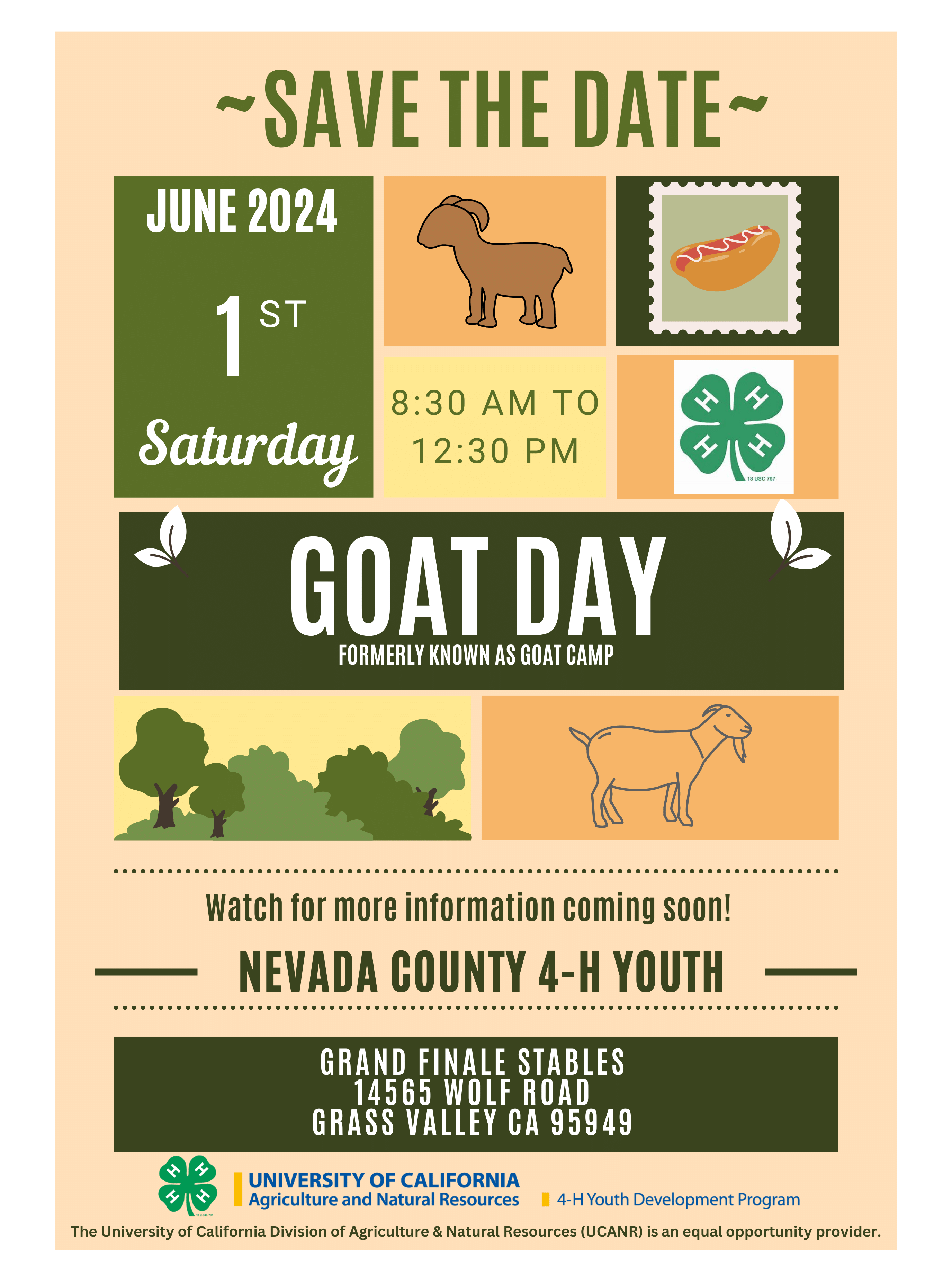 4-H Goat Day 2024