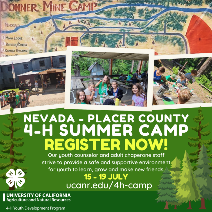4-H Summer CAMP