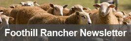 Foothill Rancher Newsletter