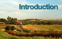 Introduction to Farm Business