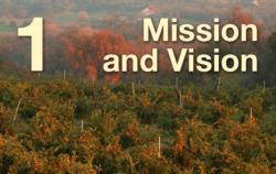 1: Mission and Vision