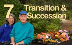 7: Transition & Succession