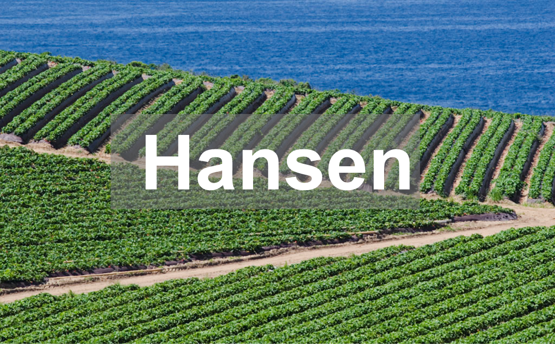 Hansen Front Image