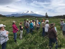 Weed Management in Riparian Areas Workshop Tour