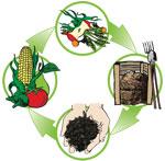Basic Composting
